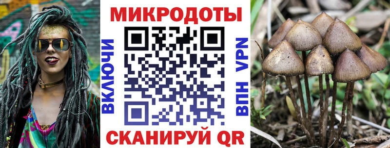 Псилоцибиновые грибы мицелий  Тетюши 